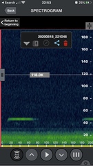 Rhinolophus formosae