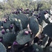 Opuntia orbiculata - Photo (c) bhall16, μερικά δικαιώματα διατηρούνται (CC BY-NC)