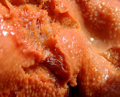 Clathria