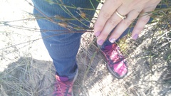 Willdenowia incurvata