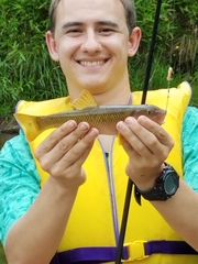 Nocomis platyrhynchus