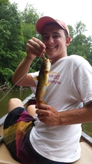 Ameiurus platycephalus