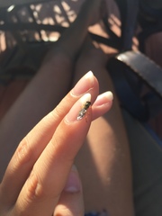 Toxomerus politus