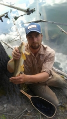 Catostomus catostomus