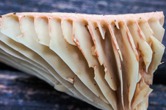 Lactarius subplinthogalus