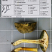 Xerocomus hypoxanthus - Photo (c) Bill Sheehan, algunos derechos reservados (CC BY-NC), subido por Bill Sheehan