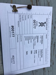 Entoloma fuscosquamosum