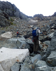 Cryptogramma cascadensis