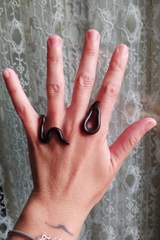 Pachyiulus oenologus