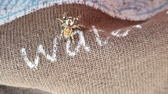 Metaphidippus chera