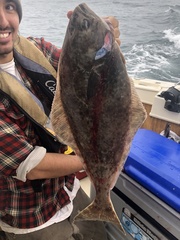 Hippoglossus stenolepis