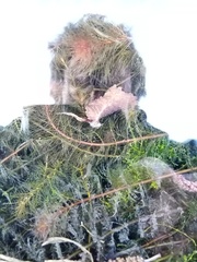 Myriophyllum triphyllum