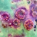 Uromyces limonii - Photo (c) Paul Cook, algunos derechos reservados (CC BY-NC-ND), subido por Paul Cook
