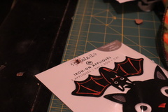 Trachelas tranquillus