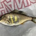 Shiner Surfperch - Photo (c) americannaturalist90, some rights reserved (CC BY-NC), uploaded by americannaturalist90
