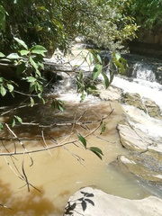 Phyllogomphoides suasus