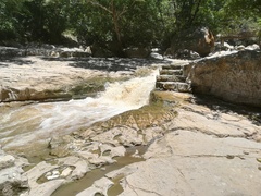 Phyllogomphoides suasus