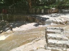 Phyllogomphoides suasus