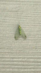 Leucochrysa insularis