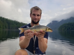 Catostomus macrocheilus