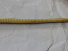 Mastigodryas boddaerti