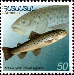 Sevan Trout photo 4