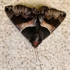 Bastilla