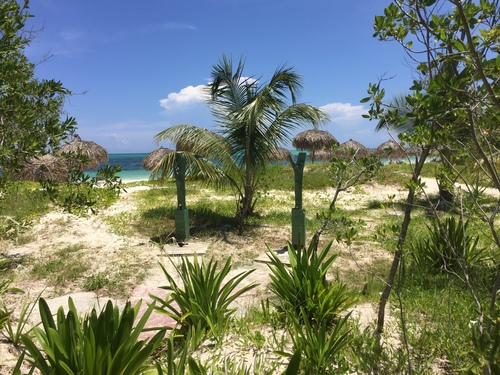 Cayo Alacranes