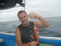 Cephalopholis colonus