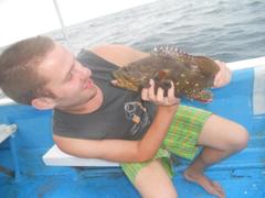 Epinephelus labriformis