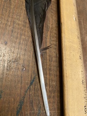 Corvus brachyrhynchos image