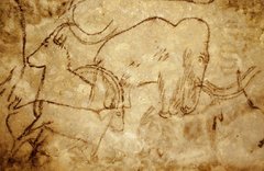 Wooly Mammoth photo 5