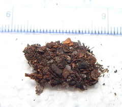 Ariathisa