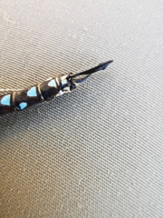 Rhionaeschna dugesi