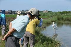 Leucogeranus leucogeranus