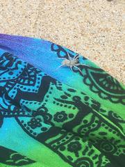 Allocosa brasiliensis