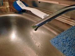 Austrocidaria callichlora