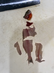 Parapristipoma trilineatum