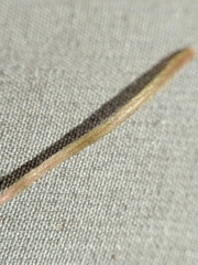 Potamogeton berchtoldii