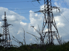 Sinictinogomphus clavatus