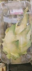 Selenicereus megalanthus
