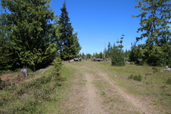 Euphydryas editha taylori