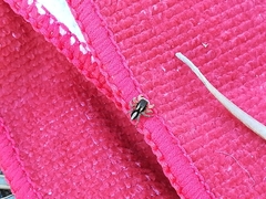 Aelurillus luctuosus