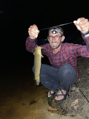 Malapterurus oguensis