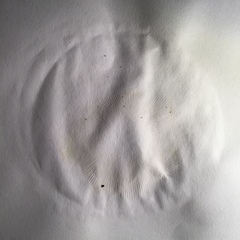 Russula ochroleucoides