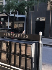 Quiscalus quiscula versicolor