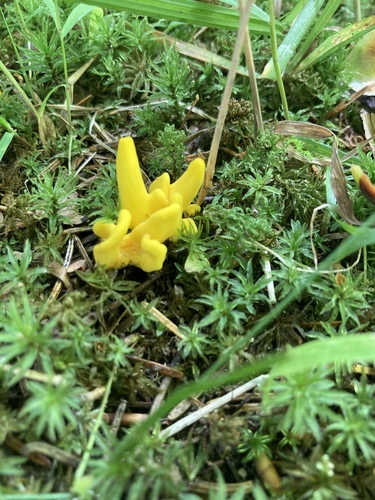 Elizabeth Point Spur Trail