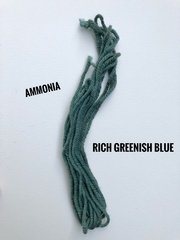 Hydnellum scrobiculatum