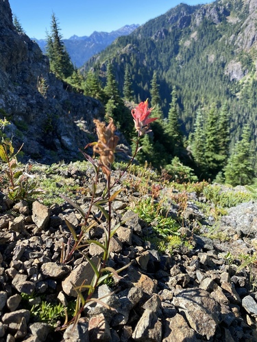Tunnel Creek Trail #841