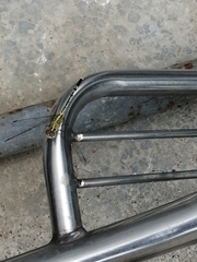 Diplacodes trivialis